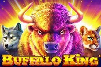 Buffalo King