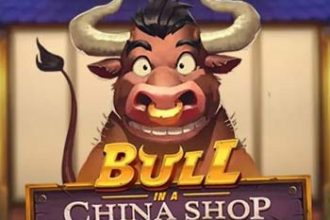 Bull in a China Shop